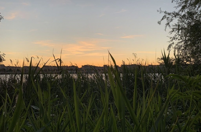 Sunset over bordeaux french linguistic stay