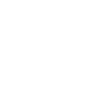 grappe-blanche- newdeal institut language training center bordeaux France